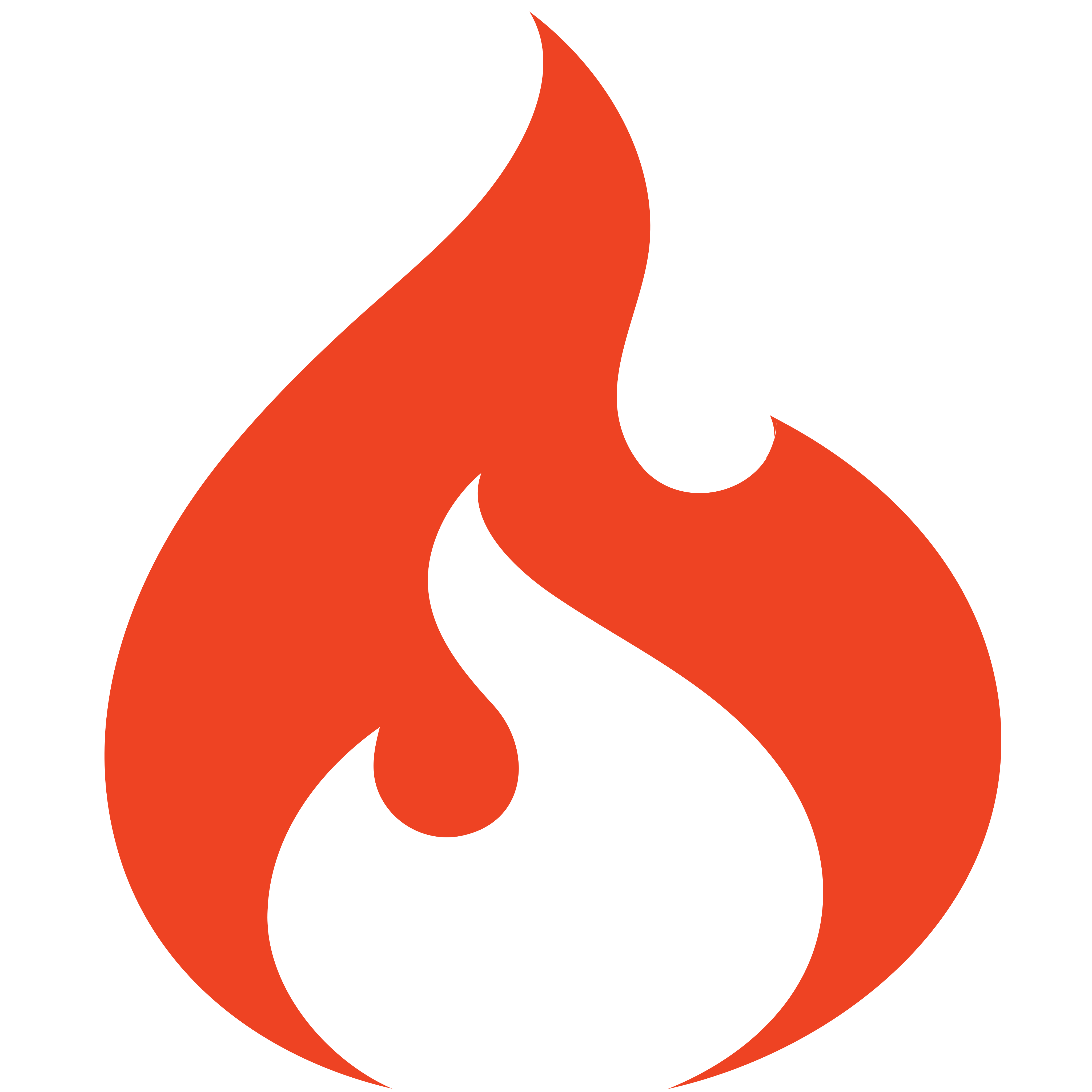 CodeIgniter icon